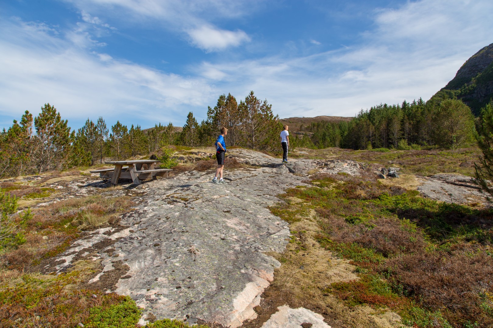 Naturopplevelser på Linesøya